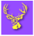 buck_03