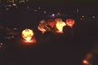 picture of hot air balloons at the Poteet Strawberry Festival