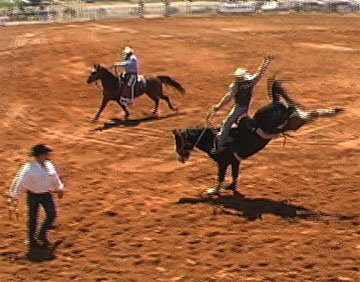 picture of rodeo at the Poteet Strawberry Festival