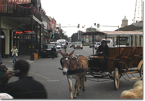 picture of C&M 2th Peter & Elaine in New Orleans