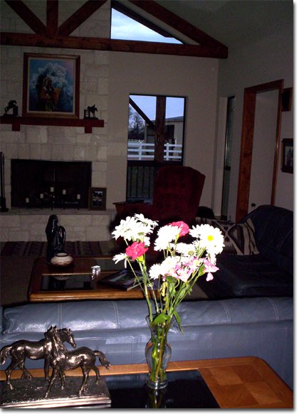 picture of Elaine & Johnny's flowers from Chris & Martin's 11th annual Superbowl party