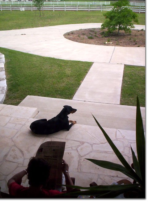 picture of Chris reading paper on front porch with Sasha March 10, 2005