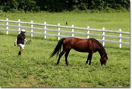 picture of Chris weeding with Dancer's help