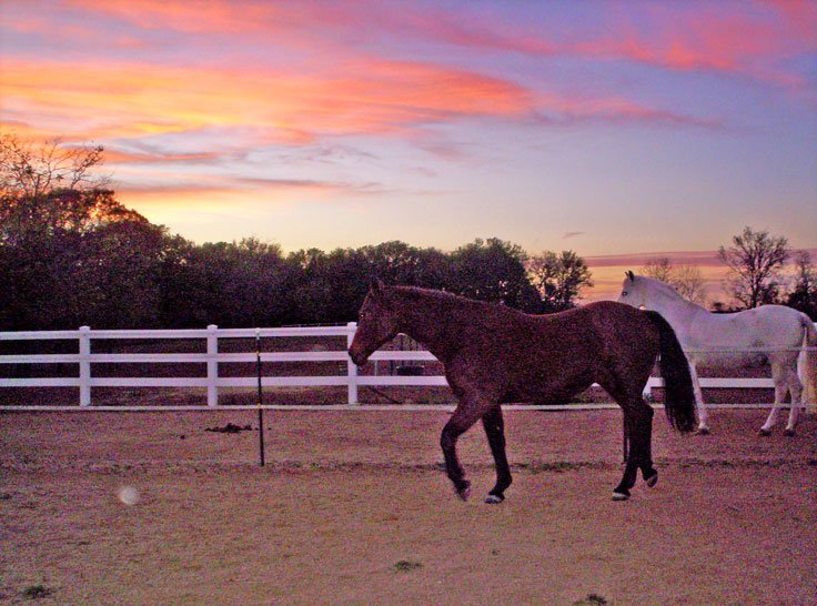 Dancer & Ben at sunset