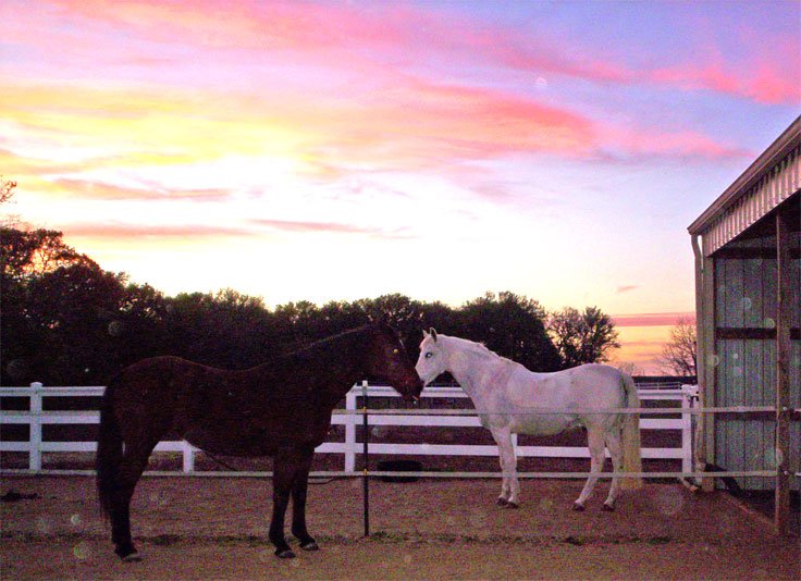 Dancer & Ben at sunset