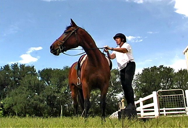 picture of Chris & Dancer getting ready to ride on Mother's Day 2006