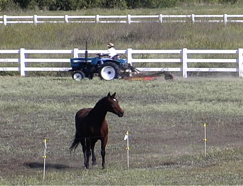 picture of Dancer October 2005