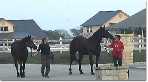 picture of Dancer & Moonie with Chris & Marjorie November 2004