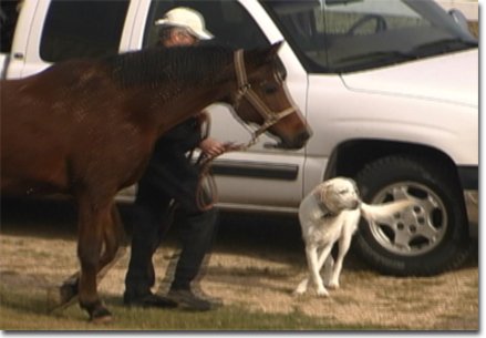 picture of Moonie leaving