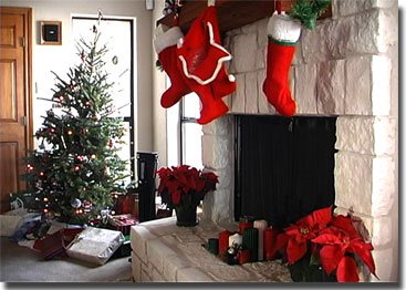 Colorado Drive's first Christmas