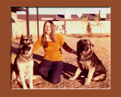 C&M Dogs